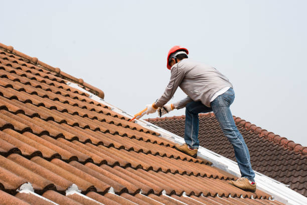 Best Wood Shake Roofing  in Keyser, WV