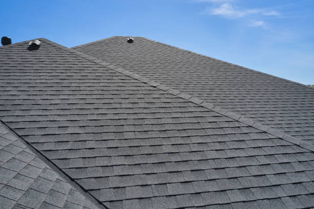 Best Roof Moss and Algae Removal  in Keyser, WV